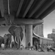 ‘Underpass With Elephants’
